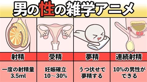 勃起 前屈み|前屈み時に見えるオッパイに勃起 